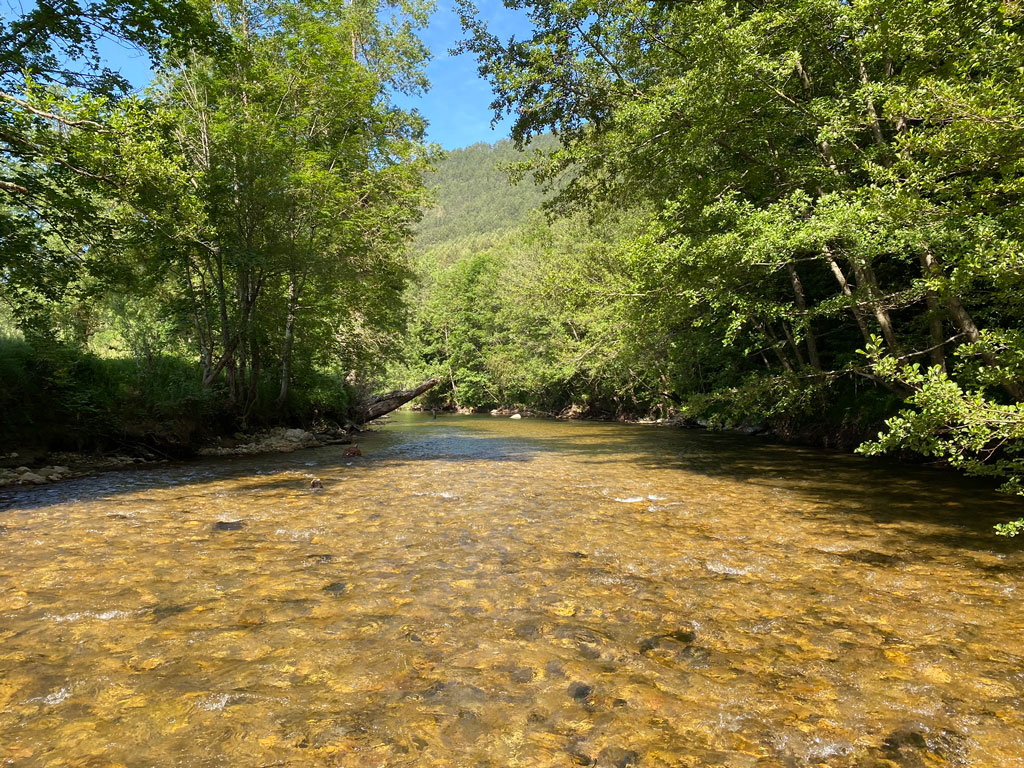 Le Lot en Lozère