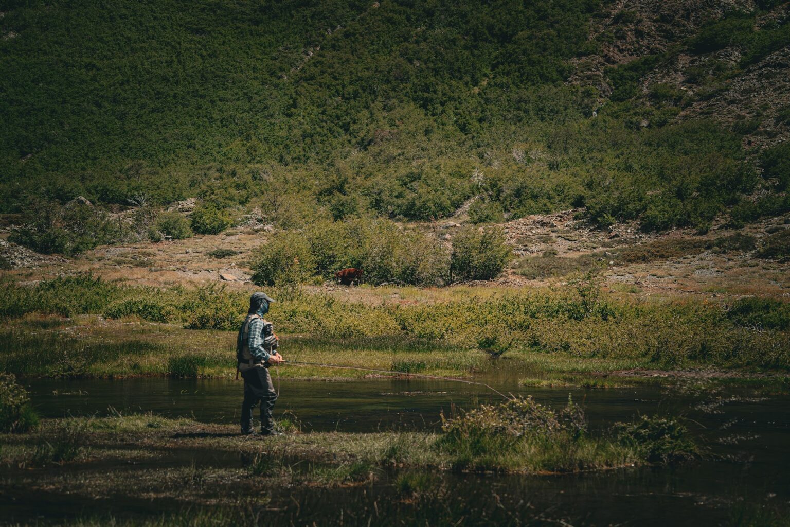 David en action sur un spring creek de Patagonie
