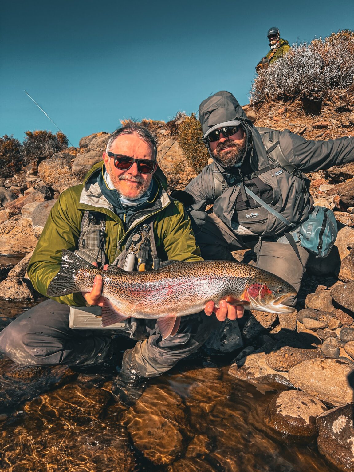 Truite trophée de Jurassic Lake avant relâche