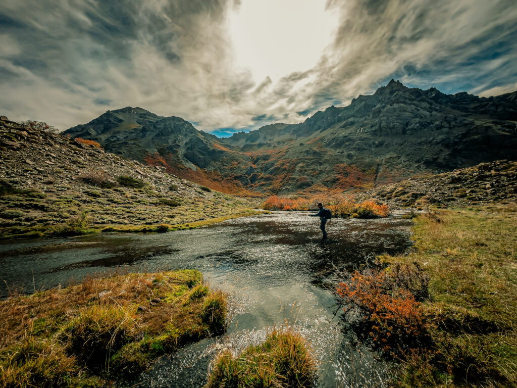 Truite fario aux couleurs de l automne austral, fin de saison en Patagonie argentine